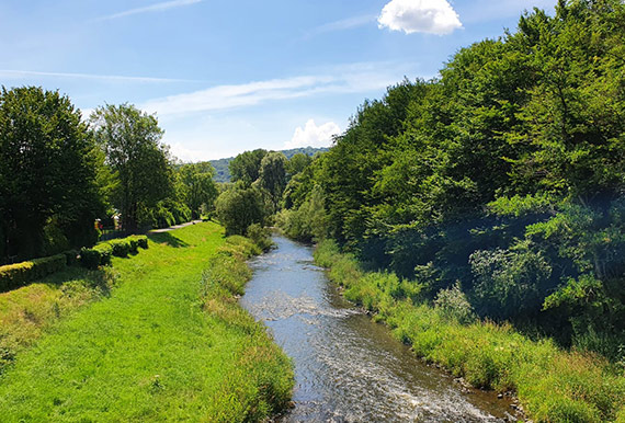 Wiedtal